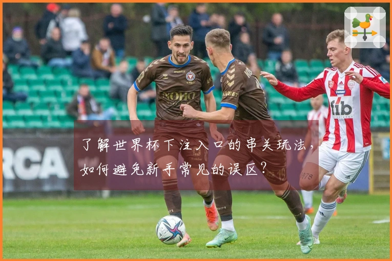 了解世界杯下注入口的串关玩法，如何避免新手常见的误区？