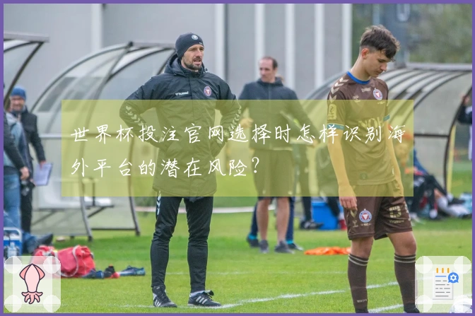 世界杯投注官网选择时怎样识别海外平台的潜在风险？